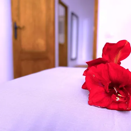 Tropicalidays Mountain Scape 펜션 아로나