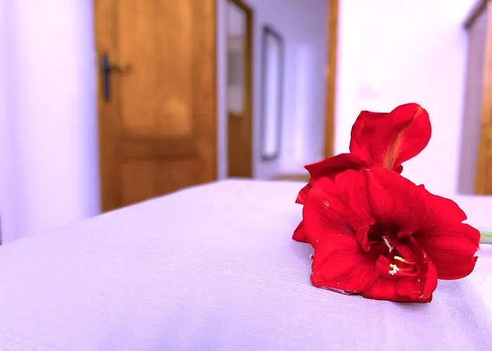 Tropicalidays Mountain Scape Дом отдыха Арона