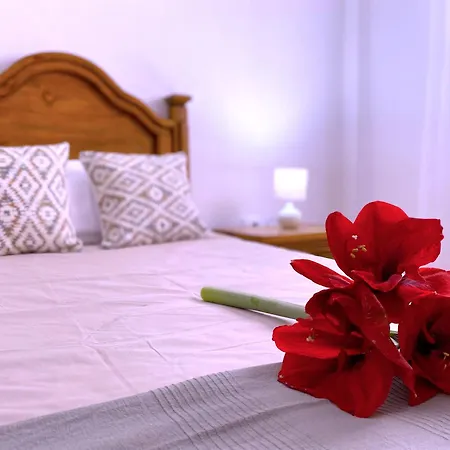 Tropicalidays Mountain Scape Holiday home Arona (Tenerife)